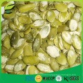 2016 new crop snow white pumpkin seeds kernels grade A